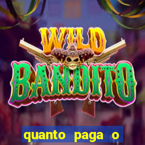 quanto paga o jungle fight